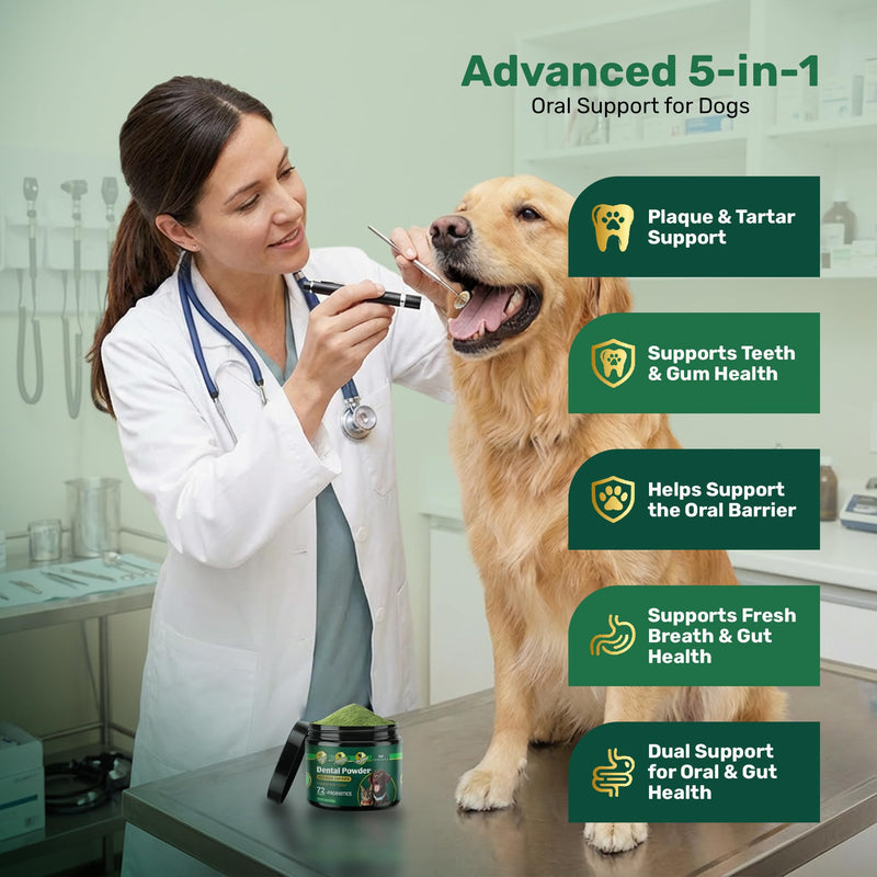 Dog Dental Powder - Plaque Off Powder - Dog Teeth Natural Cleaning Powder - Dogs Breath Freshener - Enzymes & Probiotic with Tartar and Plaque Off - Pets Tooth Cleaning- 150g/5.3 oz - PawsPlanet Australia
