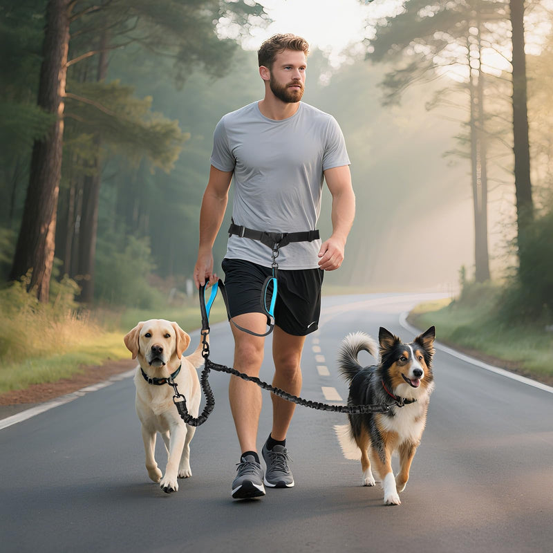 Hands Free Double Dog Leash Tangle Free, Lumbar Support Dual Leash for Medium Large 2 Dogs With Bungee, Waist Bag, Padded Handles,Reflective Stitching for Dog Walking, Jogging, Hiking, Training