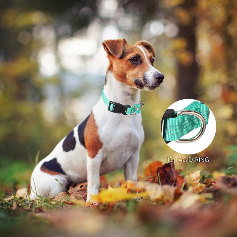 Martingale Dog Collar with Quick Release Buckle Steel Chain No Pull Training Reflective Collar for Medium Large Dogs(Teal, Medium) Teal Medium (Pack of 1) - PawsPlanet Australia
