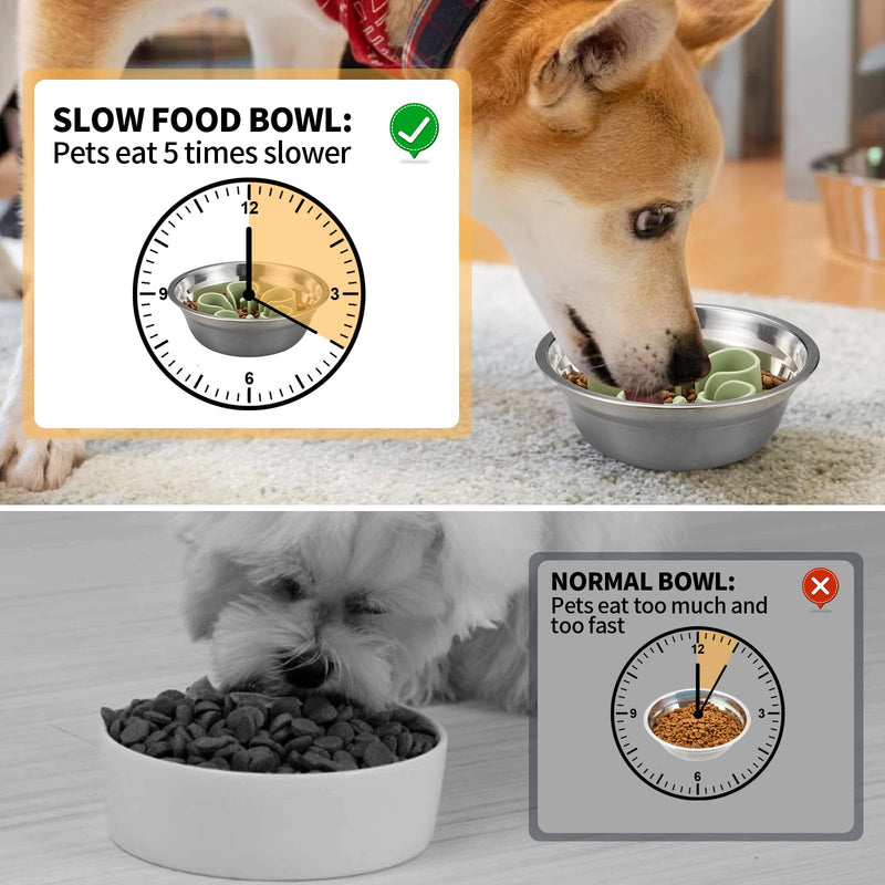 Slow Feeder Dog Bowls Insert, Bestalk Soft Silicone Slow Eating Dog Bowl Insert with Suction Cups for Small, Medium and Large Dogs(Green S) Green - PawsPlanet Australia
