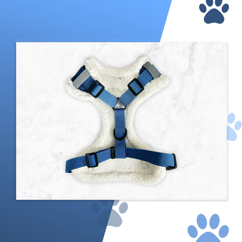 Luxury Winter Warm Soft Padded Dog Harness and Leash Set - Cute Dog Harness - Denim Harness for Small Dogs, Puppies, Large & Medium Breeds - Anti Pull Adjustable Harness for Boys & Girls (X-Small) X-Small - PawsPlanet Australia