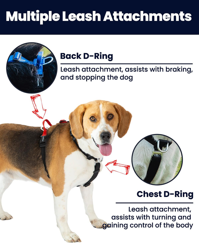 Non-Restrictive No Pull Dog Harness, Neck Buckle Design, Easy Walk Freedom Harness Keep Balance, Six Points Adjustment, for Large Dogs Chest(25-35 inches) Black L Black/Grey - PawsPlanet Australia