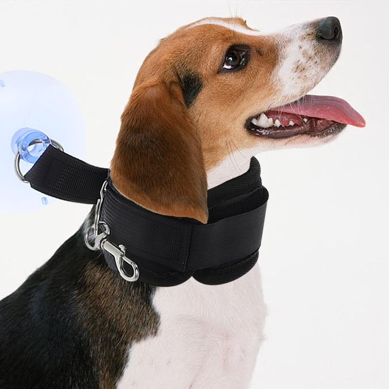 Suction cup dog bath set with adjustable grooming leash for cats and dogs for use in bathtubs and showers during grooming