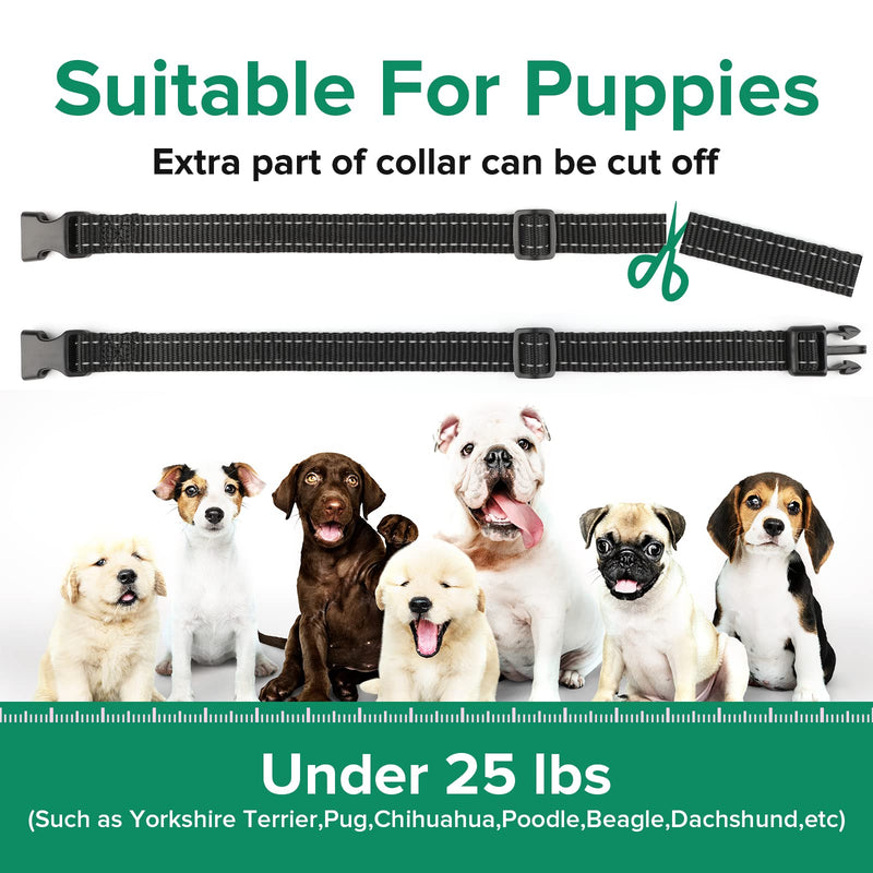 Small Dog Bark Collar - Small Anti Barking Collar for Small Medium Dogs - Small Most Humane Stop Barking Collar - Dog Training No Shock Bark Collar - Safe Pet Bark Control Device (Green, 7-20 Inches)