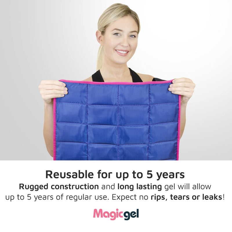 Magic Gel Horse Ice Pack with Carry Case - Twin Ice Boots | Cooling Horse Leg Wraps for Hock, Ankle, Knee, Legs, Boots, and Hooves | Horse Tack, Horse Supplies & Horse Gift Ideas for Horse Lovers 2 Count (Pack of 2) - PawsPlanet Australia