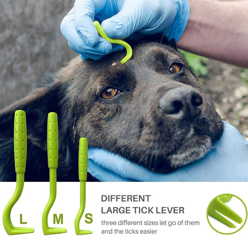 Tick Remover Tool Set, 7 Piece Pet Dog Tick Remover Tool Set Tick Hook Flea Tick Tweezers Clip Remover Flea Comb Magnifying Glass for Dogs Cats - PawsPlanet Australia