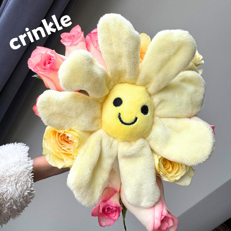 Interactive Dog Plush Toys, Crinkle Flower Dog Rope Toy, Puppy Chew Toys for Teething, Cute Dog Gift for Small and Medium Dogs - PawsPlanet Australia