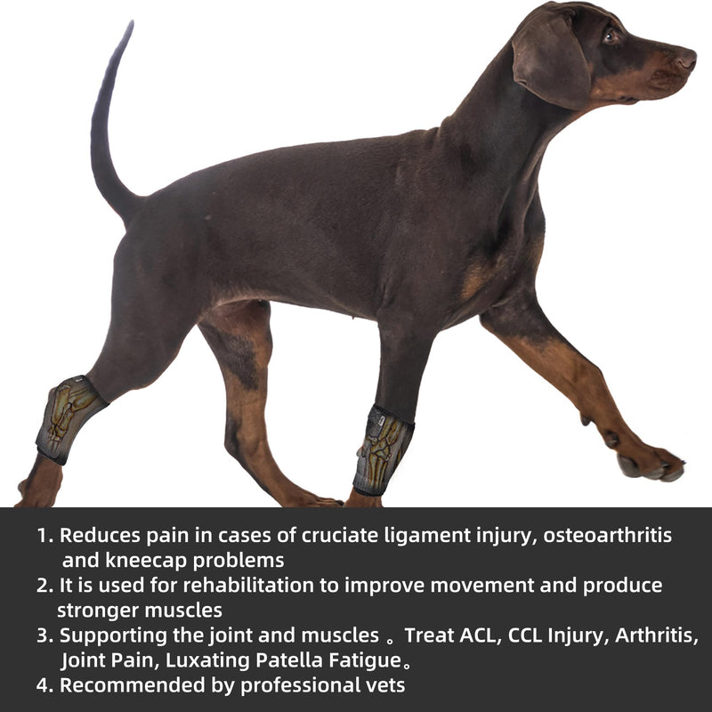 Dog Leg Braces for Rear Leg, Dog Hock Joint Brace with Two Metal Spring Inserts, Dog Hock Splint with Fractures, Wound Healing, Sprains and Canine Arthritis_L/XL L/XL