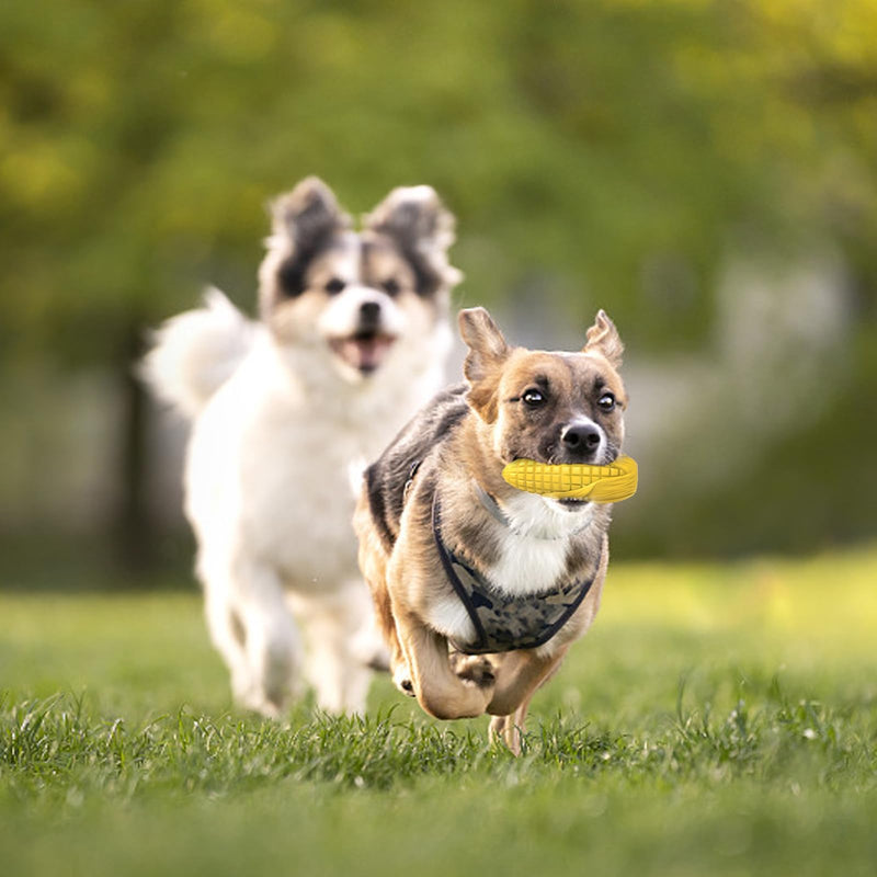 Dog Chew Toys for Aggressive Chewers,Idestructible Tough Durable Squeaky Interactive Dog Toys，Durable Dog Teeth Cleaning Toy for Medium Large Breeds，Corn Stick Toy (Yellow) - PawsPlanet Australia