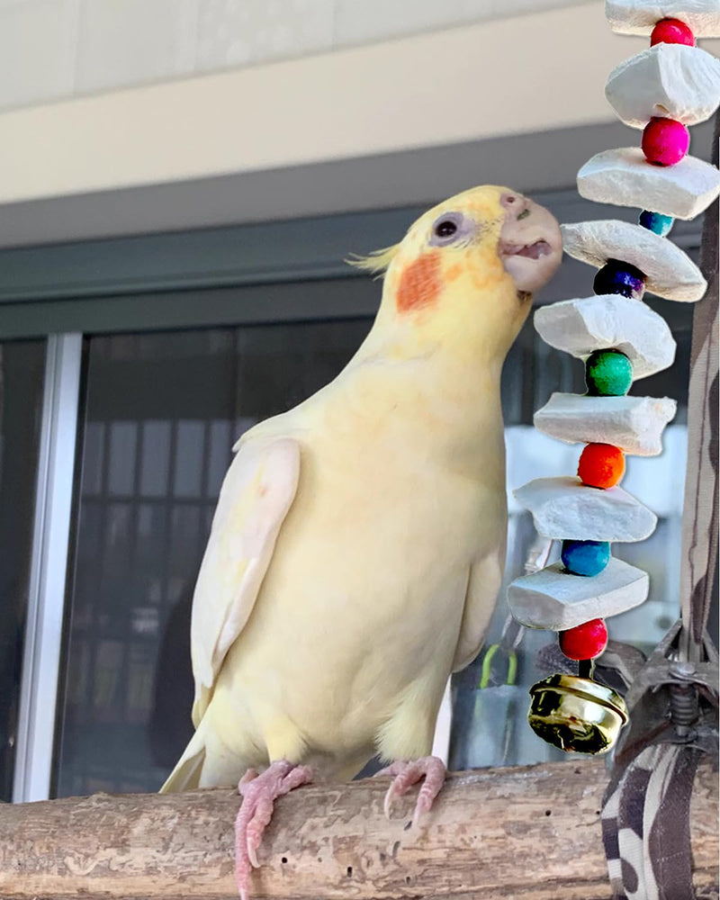 2 Pack Bird Toys with Millet Cuttlebone, Parakeet Toys, Bird Beak Grinding Tool, Cage Accessories for Parakeets, Cuttlefish Bone for Budgies, Cockatiels, Lovebirds, Green Cheeks, Small to Medium Birds - PawsPlanet Australia