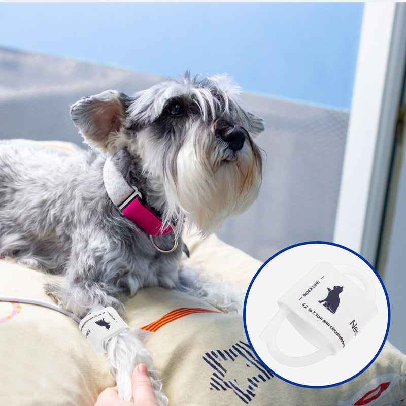 Animal cuff for pets and cats. Medical safety cuff made of breathable non-woven fabric for precise use in the veterinary field.