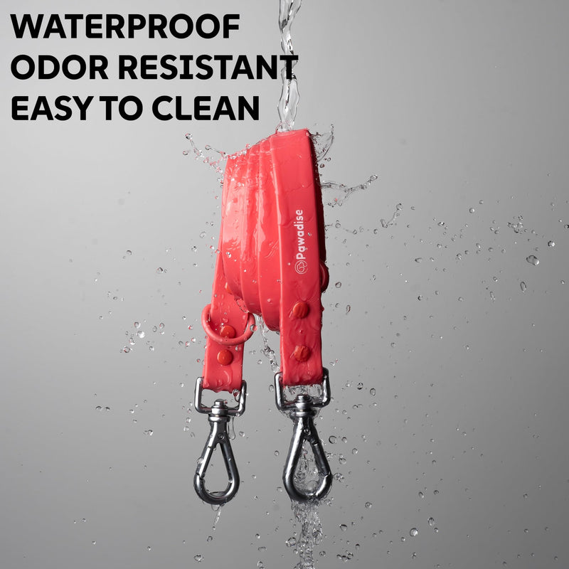 Collar & Leash Set – Adjustable, Waterproof, Dirt & Odor Resistant, Easy to Clean (Red Watermelon, Large) Red Watermelon