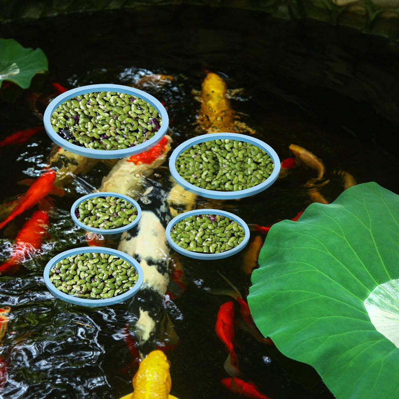 5pcs Aquarium Floating Plant Rings, Foam Round Fish Feeding Rings 5 Size Floating Plant Corral Fish Tank Food Ring Keep Floating Plants in Place (Blue) - PawsPlanet Australia