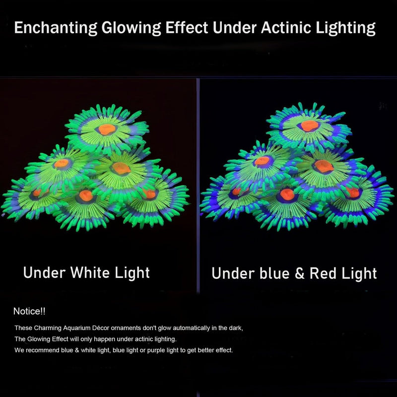 Glowing Effect Fish Tank Aquarium Decorations, Artificial Silicone Plants Ornaments for Fish Tank Landscape Decor Glow in The Dark Soft Anemone for Small Fish Bowl Decor Green - PawsPlanet Australia