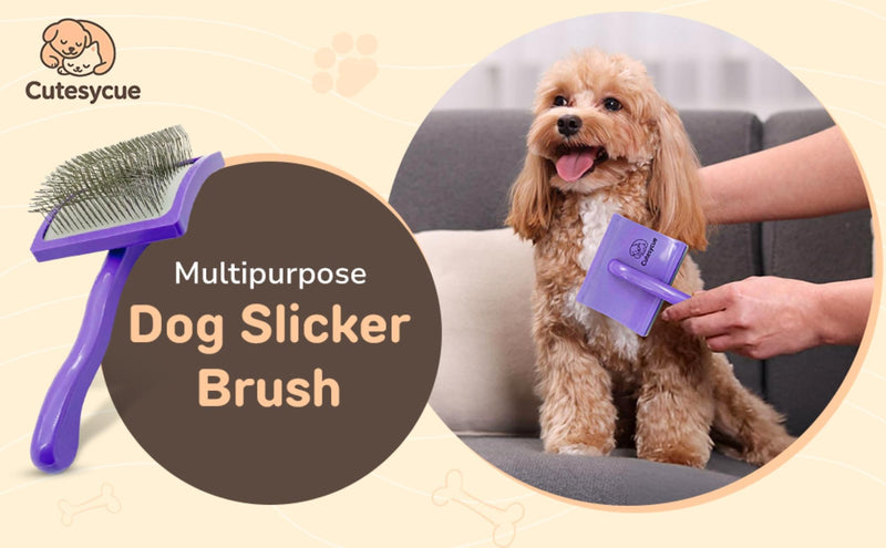 Slicker Brush for Dogs | Dog Grooming Supplies | Best Brushs For Long Haired Dog | Deshedding Brush | Dematting Brushs | Gentle On Skin | Soft-Grip Handle - PawsPlanet Australia