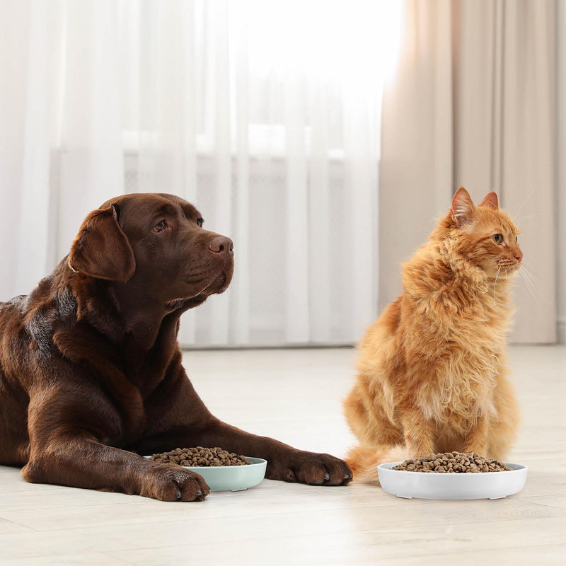 Cat Feeder, 2 Pcs Pet Slow Feeder Bowl, Fish Pool Design, Healthy Eating Diet, Interactive Cat Food Bowl, Dishwasher Safe, Melamine, Green White White, Green - PawsPlanet Australia