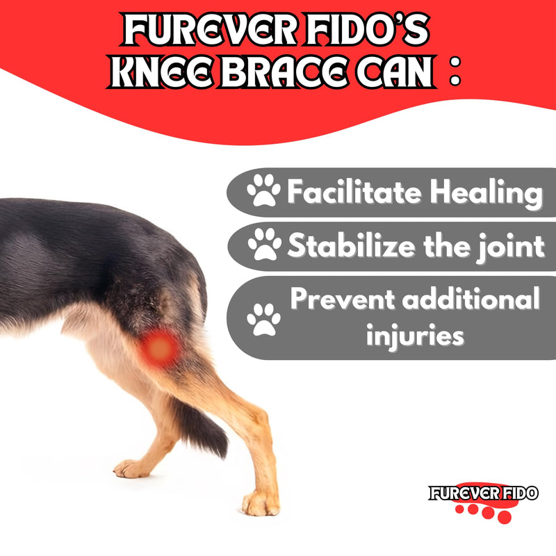 Dog Knee Brace, Hip Displaysia Dog Support Brace, Dog ACL Brace Hind Leg, Dog ACL Knee Brace, Dog Knee Brace for Luxating Patella, ACL Brace for Dogs Rear Leg, Dog Hip Support brace (L - Left) L - Left - PawsPlanet Australia
