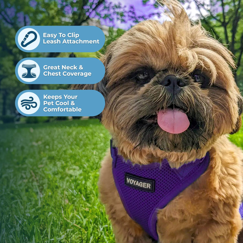 Voyager Step-in Lock Dog Harness w Reflective Dog Leash Combo Set with Neoprene Handle 5ft - Supports Small, Medium and Large Breed Puppies/Cats by Best Pet Supplies - Purple, M - PawsPlanet Australia