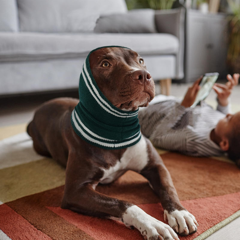 Nanaki Dog Ear Covers for Noise Bath No Shake Ear Wraps for Dogs Hematoma Dog Fireworks Anxiety Relief Calming Hoodie Dog Grooming Ear Cover Quiet Dog Head Wrap Force Drying Thunderstorm Ears for Dogs Large DarkGreen - PawsPlanet Australia
