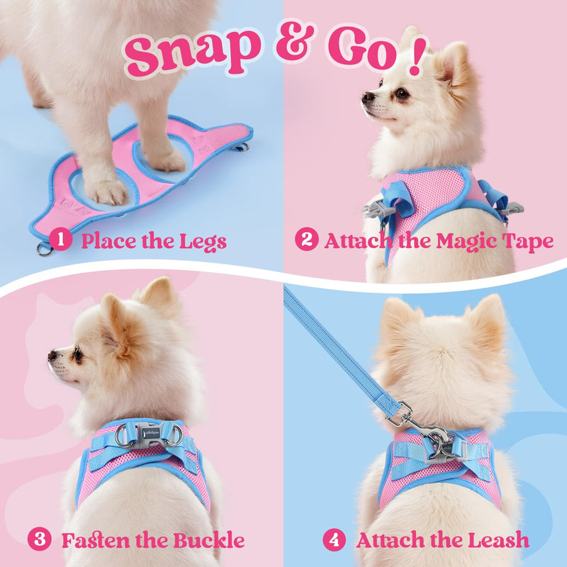 rabbitgoo Dog Harness Small Sized and Leash Set, Step-in Breathable Pet Harness, Soft Walking Reflective Puppy Vest for Small Dogs, Pink & Light Blue, S S (Chest: 15.1 - 16.5") - PawsPlanet Australia