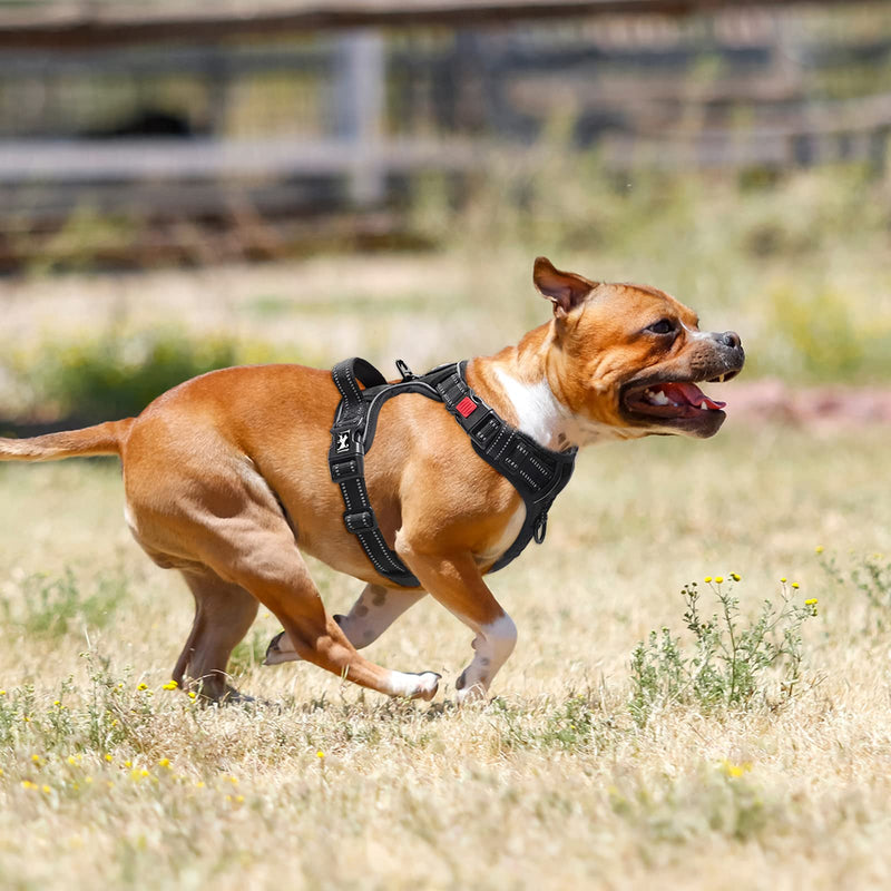 PoyPet No Pull Dog Harness with Neck Release Buckle, Reflective No-Choke Harness with 2 Leash Clip, Adjustable Soft Padded Pet Vest with Easy Control Handle for Medium Dogs (Black,M) M Black - PawsPlanet Australia