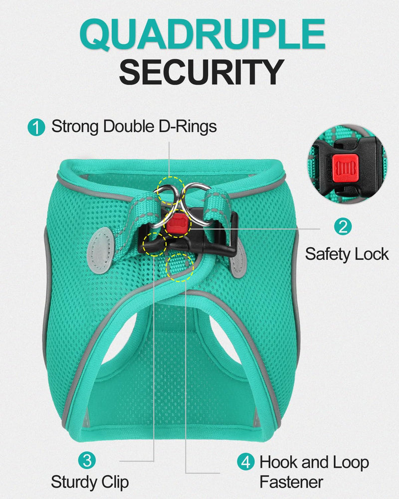 Joytale Small Dog Harness, Breathable Mesh Step-in Vest, Reflective Soft Padded Harnesses Small Sized Dog for Walking, Teal, S S--Chest: 15-16.5'' - PawsPlanet Australia