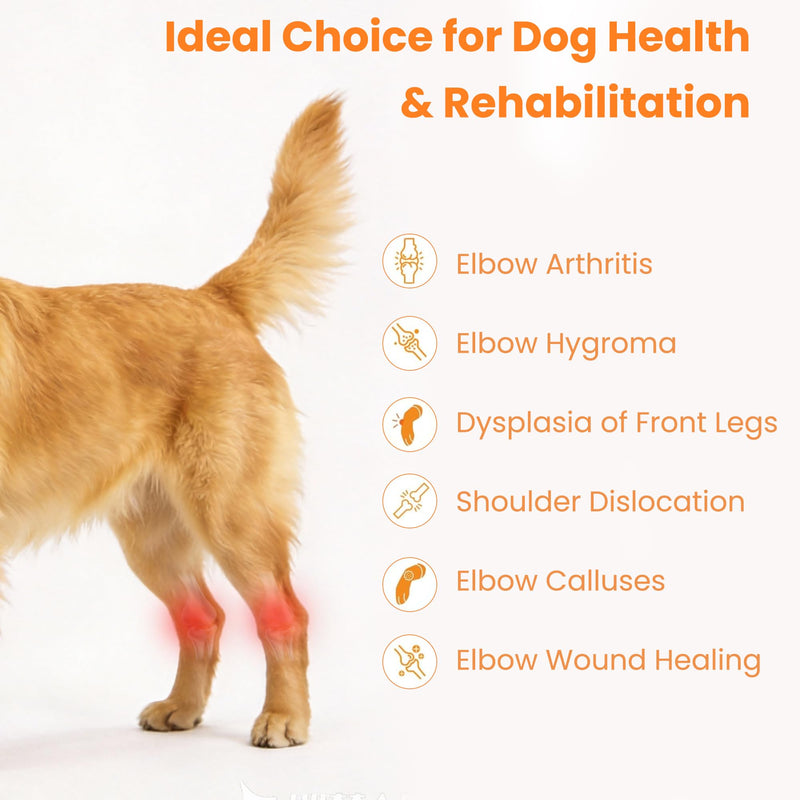 Dog Knee Brace for Torn Acl Hind Leg - Dog Back Legs Supports with 2 Stabilizers to Reduces Pain for CCL Injury, Hip Dysplasia & Joint Pain Relief, Adjustable Soft Breathable Leg Braces, M