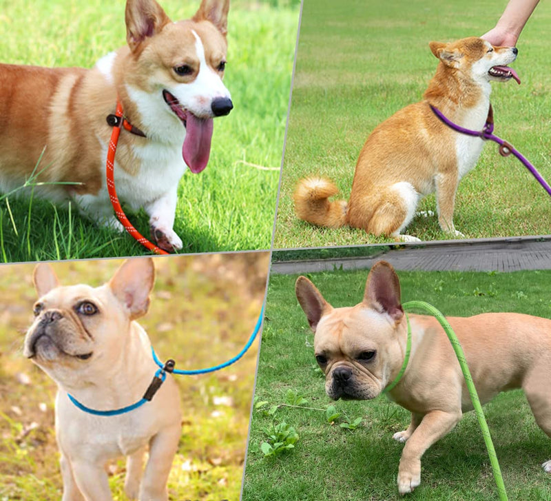 WYUZE 2 Pack 8 ft Slip Lead Dog Leash, Reflective No Pull Dog Training Lead, 1/3" Nylon Rope Slip Leash for Small Medium Dogs Purple+Green 8 Foot - PawsPlanet Australia