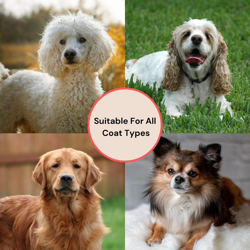 Professional Large Slicker Brush for Dogs (Goldendoodles, Labradoodles, Poodles, Golden Retrievers and more) Pet Grooming Brush with Long Stainless steel Pins for Dematting - PawsPlanet Australia