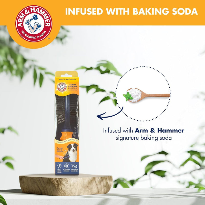 Arm & Hammer Deodorizing Pin & Bristle Dog Grooming Brush with Fragrance Transfer Technology – Scented 2-in-1 Dog Brush for Detangling & Shedding, Pet Brushes for Dogs, Sweet Lily & Vanilla - 2 Pack Pin/Bristle Duo Brush - Sweet Lily & Vanilla 2-Pack