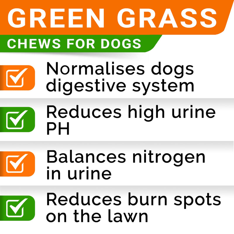 STRELLALAB Green Grass Chews - Pee Grass Spot Saver Caused by Dog Urine - Urine Neutralizer for Lawn, Gut Health Probiotics & Digestive Enzymes,Lawn Burn from Dog Urine, Grass Burn Spot Chews Chicken Liver Green Grass 120ct