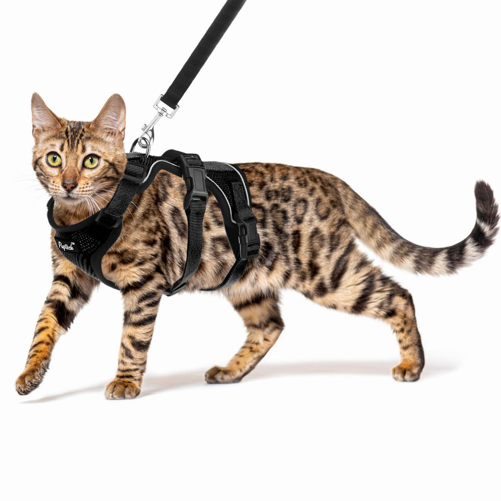 PUPTECK Cat Harness and Leash Set Escape Proof for Walking, Breathable Mash Vest Adjustable Harness for Cats Puppy Small Animals, Reflective at Night, Black Small S: Neck 9"-11.4", Chest 11"-16.1"