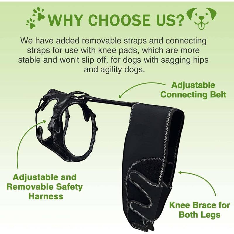 (M Dog Rear Leg Brace with Safety Harness and Leash, Adjustable Hind Leg Knee & Hip Support Wrap for Senior Dogs, Removable Straps for Weak Back Legs, Arthritis or Hip Dysplasia Support (M)