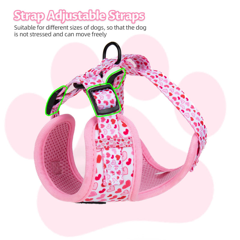Dog Harness and Leash Set, Adjustable Dog Harness, Dog Leash, No Pull No Choke Puppy Harnesses for Walking Training for Small, Medium Pet (Little Love, S(Chest 14-19.6", Neck 10.6-13")) S(Chest 13 - 19", Neck 9.5 - 13.1") Little Love - PawsPlanet Australia