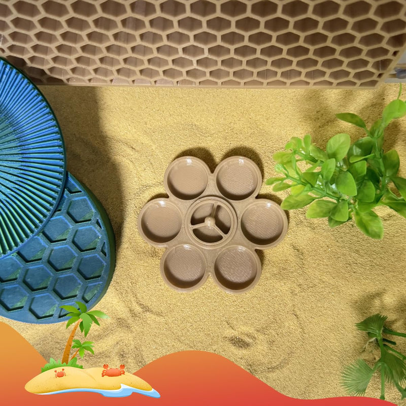 2 Pcs Hermit Crab Food Dish, 9 Grids Food & Water Bowl, Hermit Crab Tank Accessories - PawsPlanet Australia