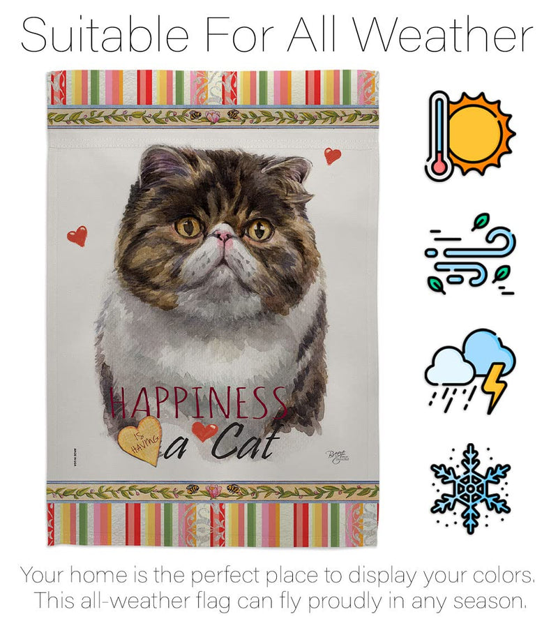 Breeze Decor Exotic Short Hair Happiness House Flag Pack Cat Kitten Meow Spoiled Paw Fur Pet Nature Farm Animal Creature Applique Banner Small Garden Yard Gift Double-Sided, Made in USA - PawsPlanet Australia