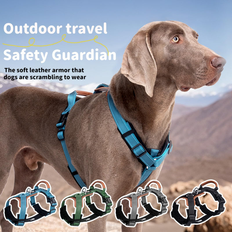 Reflective Dog Harness, Adjustable L-Shape Vest for Small Medium Large Dogs, No Pull Pet Harness for Walking and Training, Enhanced Comfort and Safety (Pack of 1 Blue, S) - PawsPlanet Australia