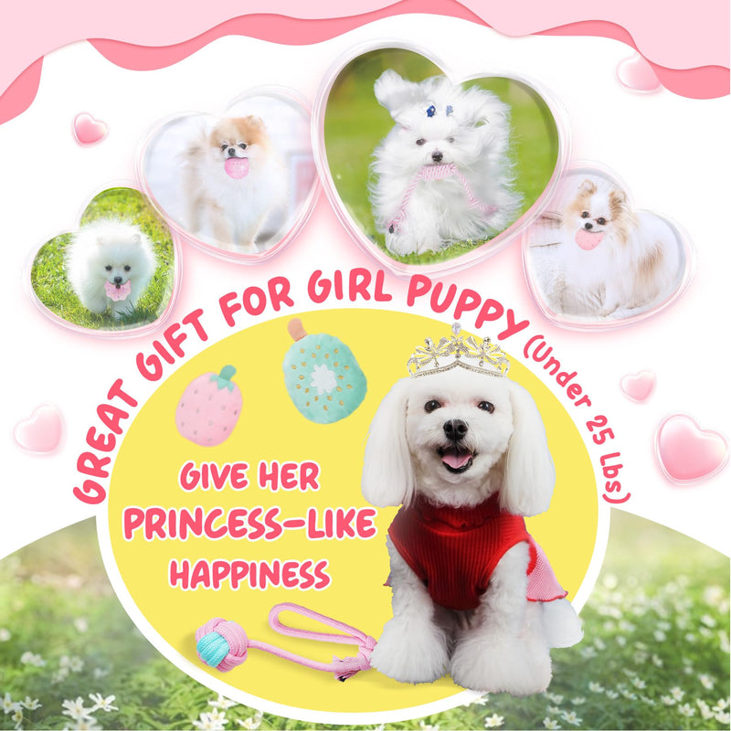 XIUGOAL Pink Puppy Toys for Boredom - 23 Pack Puppy Chew Toys for Teething, Interactive Dog Toys for Puppies, Cute Small Dog Toys with Treat Ball, Squeaky Dog Chew Toys and Ropes A - 23 Pack - PawsPlanet Australia