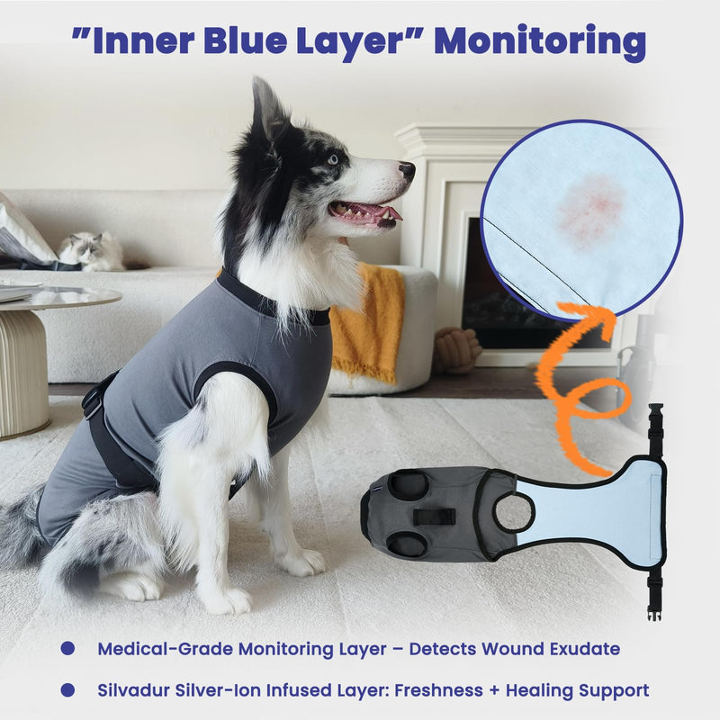 Dog Surgery Recovery Suit, Spay/Neuter Surgical Onesies with Inner Blue Monitoring Layer for Male Female Dogs, Hold-Up Potty System, E-Collar Alternative (Grey, Small) Grey