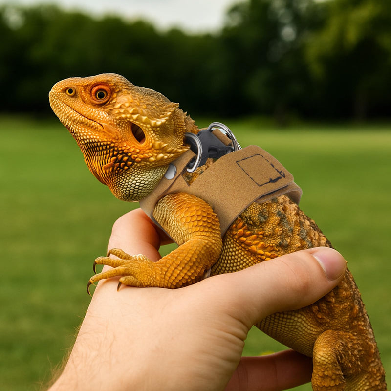 3 Pcs Bearded Dragon Harness and Leash Set Lizard Reptile Walking Leash Adjustable Soft Leather Vest Small Walking Vest Accessories with Traction Rope for Training Lizards Other Small Reptiles - PawsPlanet Australia