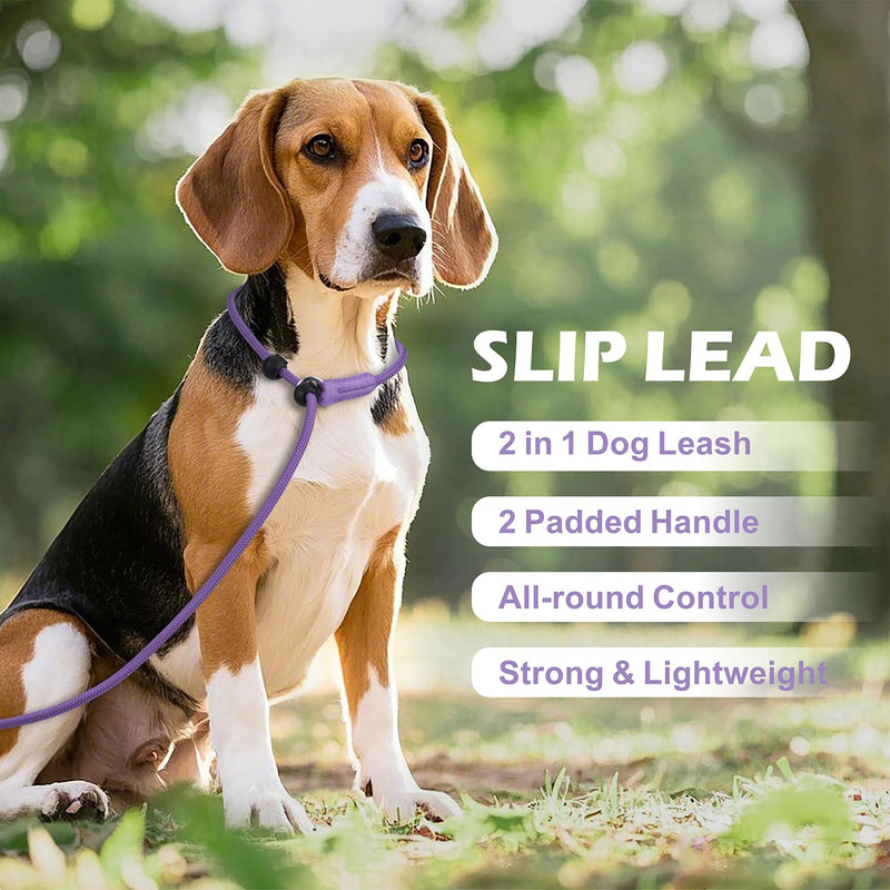 6FT Slip Lead Dog Leash with Double Padded Handle, Anti-Tangle Slip Leads for Dogs, Reflective Nylon No-Pull Training Leash for Small Medium Dogs, Purple 6 Feet - PawsPlanet Australia