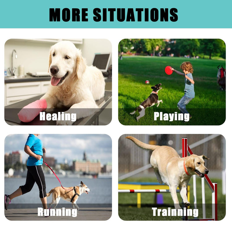 1 Pair Dog Leg Braces, Front and Rear Knee Pads for Pets, Compression Recovery Sleeves for Joint Support, Durable Elbow Protectors for Dogs, Ideal for Injury Prevention and Rehabilitation(M)
