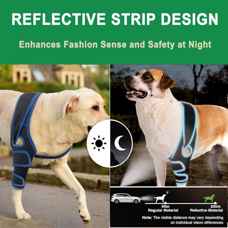 Dog Knee Brace for Torn ACL/CCL Hind Leg Reflective Front Back Leg Extra Support Dog Joint Protection Arthritis Pain Relief, Injury, Adjustable Vet-Recommended Recovery Brace for Dogs M Blue