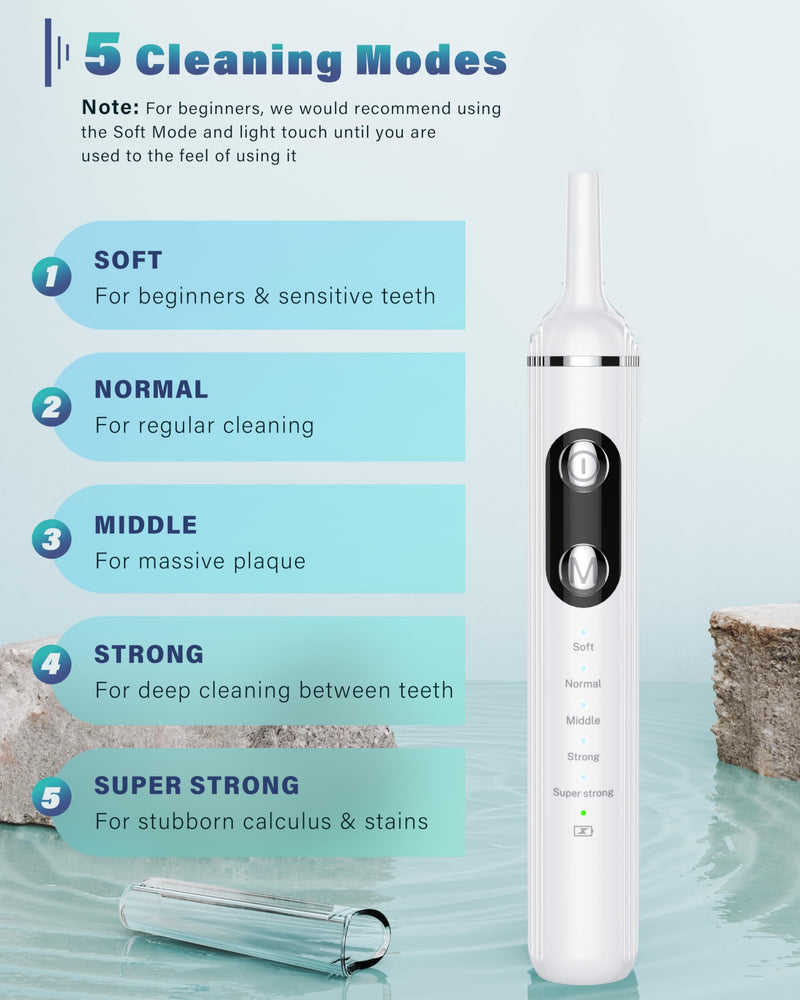 Wagner Stern Dog Plaque Remover for Teeth, Dog Toothbrush with 5 Modes & LED Light for Calculus and Stains Removal ultrasonic Pet Teeth Cleaning, Dental Care kit with 4 Heads White