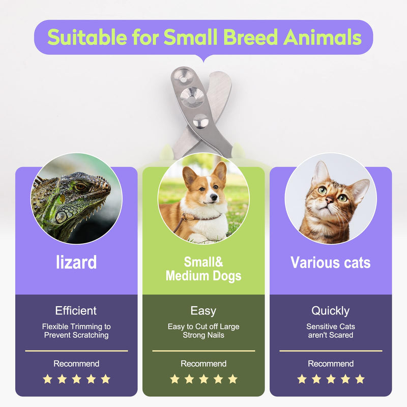 Cat Nail Clippers with Nail File, Kitten Claw Nail Clippers for Trimming, Stainless Steel Pet Bearded Nail Clippers Tool for Dragon, Guinea Pig, Rabbits, Birds, Ferret Small Breed Animals(Green/Pink) Pink 1+Green 2 - PawsPlanet Australia