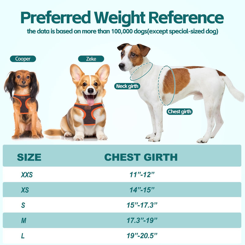 Dog Harness with Multifunction Dog Leash,No Pull Reflective Step-in Harness for Soft Adjustable No Choke Escape Proof,Easy Walk Dog Harness for Puppy,Small Dogs (Orange&Dark Grey, XS) Orange&Dark grey - PawsPlanet Australia