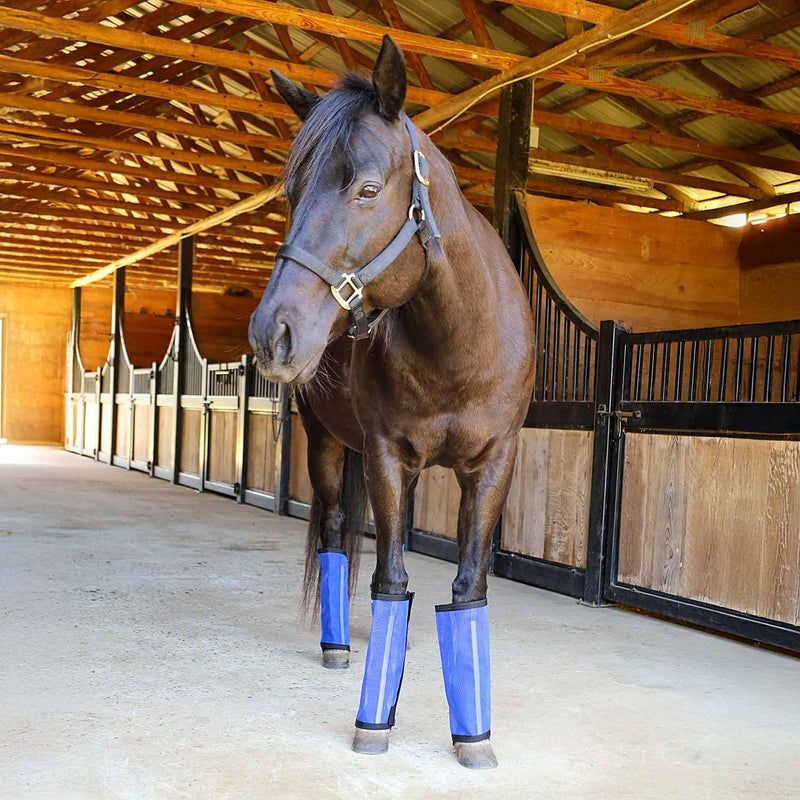 Jeffers Romper Stomper Fly Boots for Horses - Grey, Large – Breathable Mesh Leg Wraps for Insect Protection, Stable Accessories for Summer Turnout, Ride Gear, Horse Hoof & Leg Care - 4 Pack Indigo Medium - PawsPlanet Australia