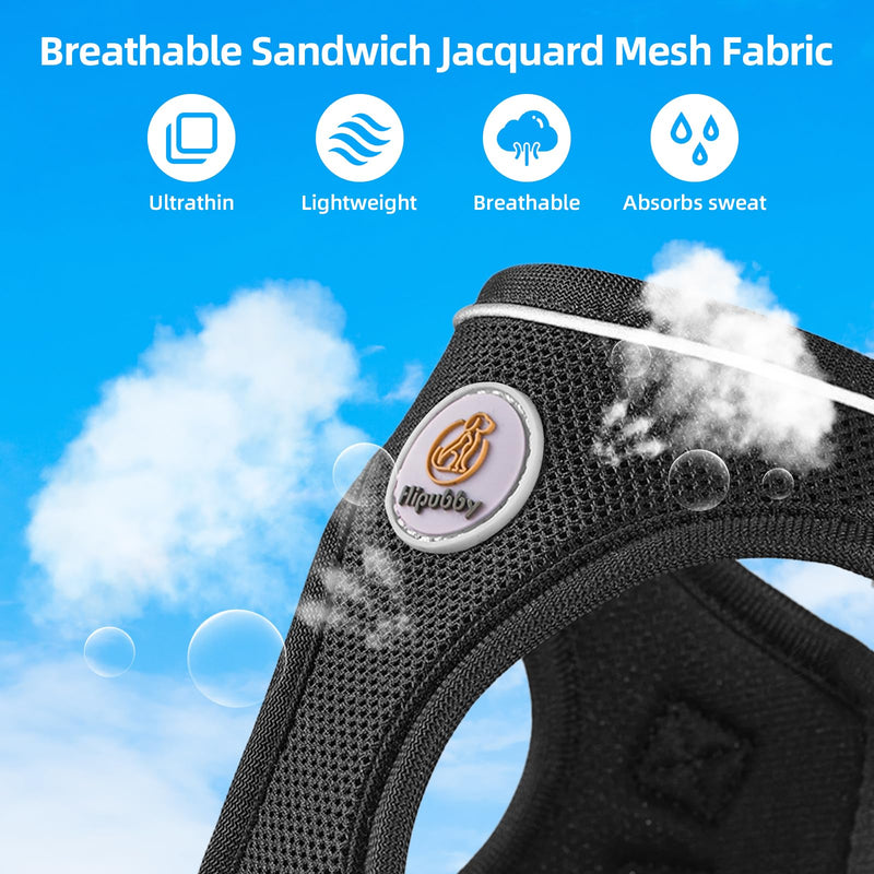 Dog Harness and Leash Set, No Pull Soft Mesh Puppy Harness for Small Medium Dogs, Cats - Step in Adjustable Reflective Pet Harness with Buckle and Double D-Rings - Black, XS XS(Chest: 13.5"-15") - PawsPlanet Australia