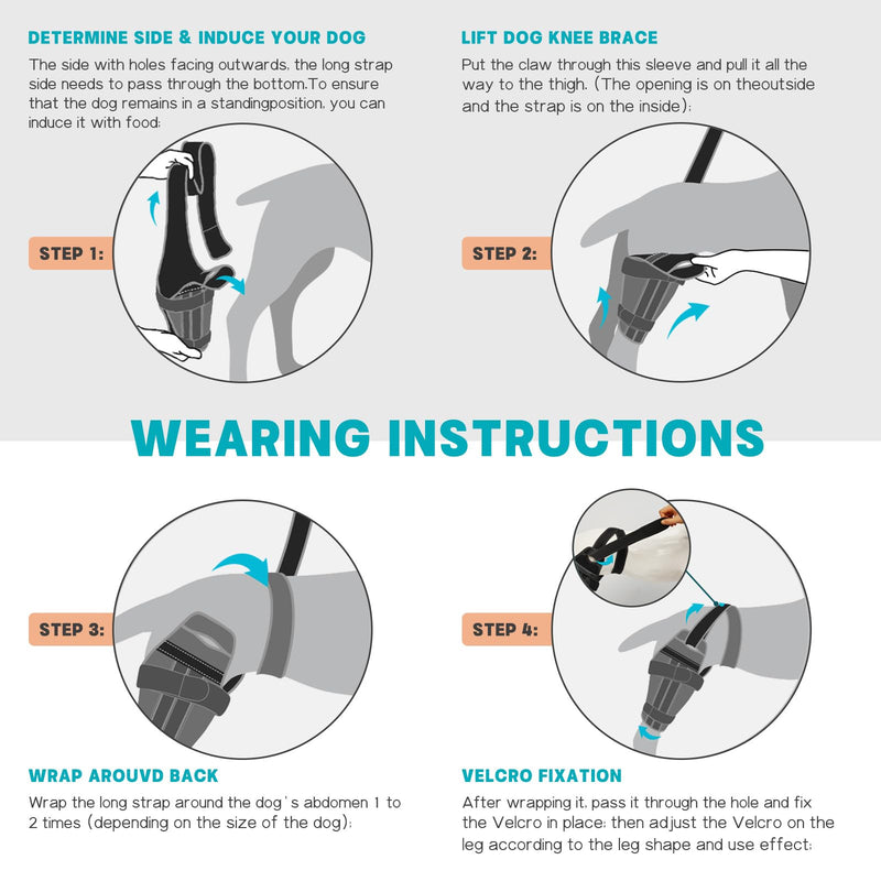 Dog Knee Brace for Torn ACL Hind Leg–Adjustable Support Dog Leg Brace for Back Leg with 2 Stabilizers, Hip Support to Reduces Pain Luxating Patella, Ligament Injuries, CCL (Blue, Left Leg, L)