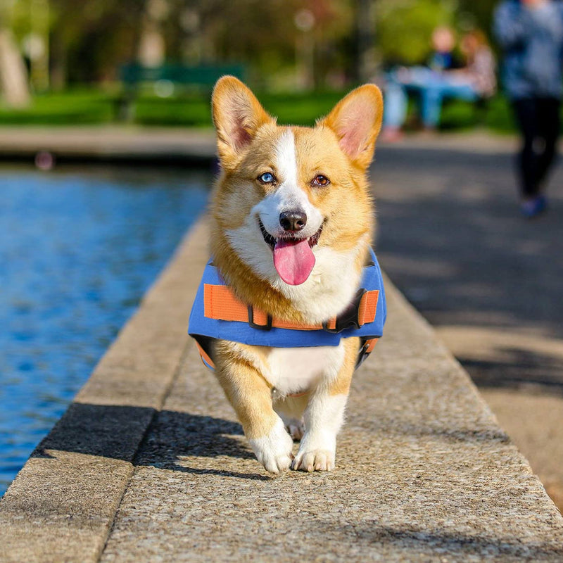 Queenmore Dog Life Jacket, Adjustable Dog Life Vest, Pet Lifesaver for Swimming, Shark Life Jacket with Rescue Handle, Rip-Stop Safety Vest for Small Medium Large Dogs Orange